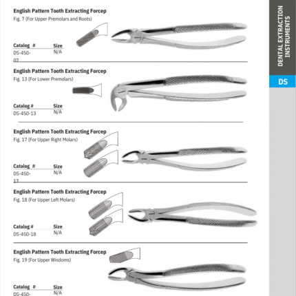 English Pattern Tooth Extracting Forcep