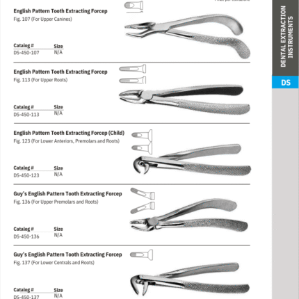 English Pattern Tooth Extracting Forcep